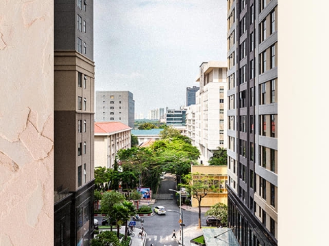 Bộ sưu tập 1